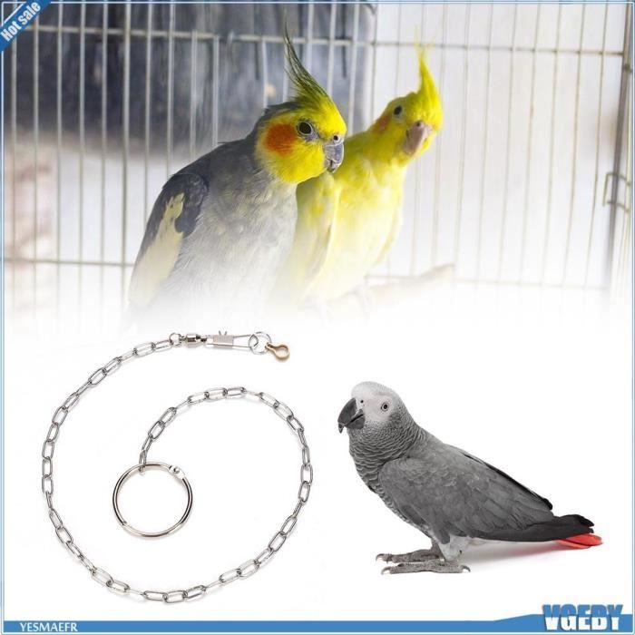 Comparer les prix de Chaîne de pied d'oiseaux - VGEBY - Pour Perroquet - Acier inoxydable - Extérieur