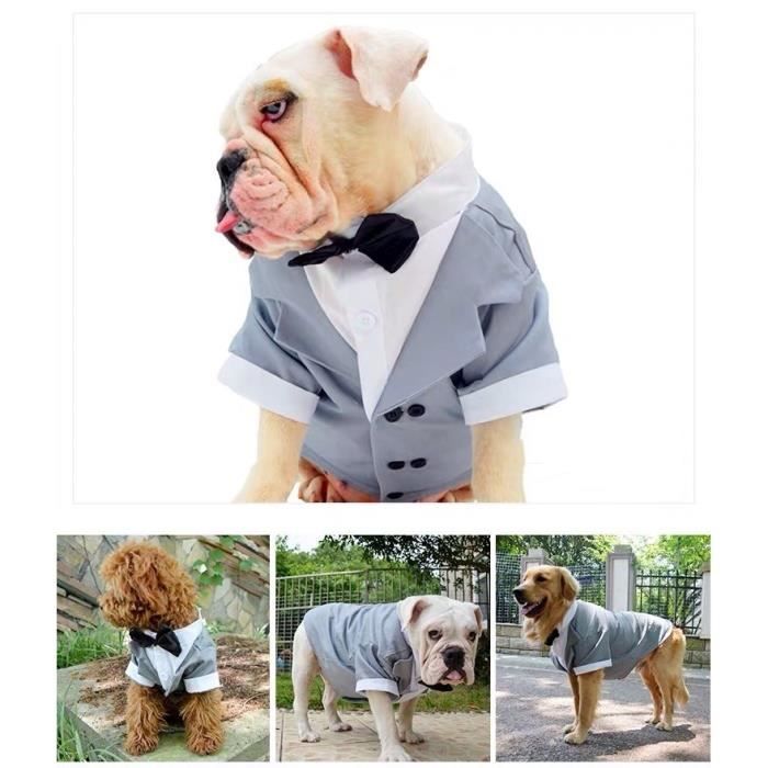 Costume smoking outlet en anglais
