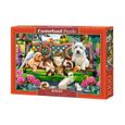 Puzzle 1000 pièces - Castorland - Les animaux au parc - Thème Animaux - Difficulté moyenne - Mixte-1