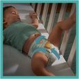PAMPERS BABY-DRY TAILLE 7 123 COUCHES-1