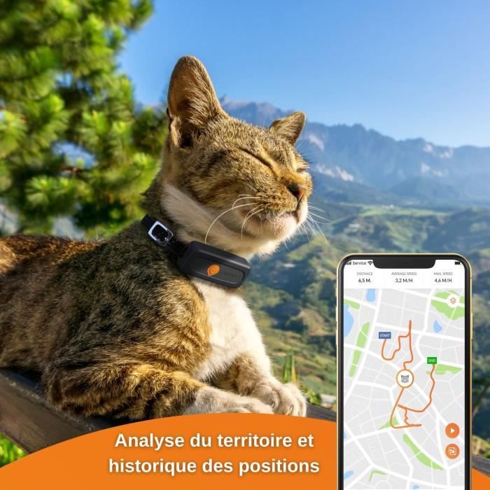 Tractive CAT Mini - GPS pour chat avec moniteur d'activité - Bleu