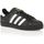 Adidas originals baskets superstar
