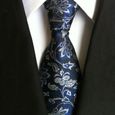 CRAVATE Homme - Cravate cravate en jacquard de soie polyester style 2 - noir YT™-0