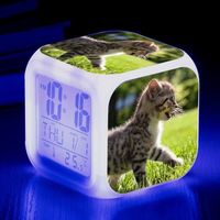 Horloge,Réveil Animal mignon chat coloré quatre carrés, petit réveil créatif petit cadeau pour étudiants et enfants - Type 6