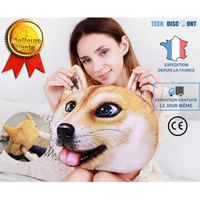 TD® Bouillotte chauffe-mains en forme de chien micro-onde chauffage peluche bébé enfant chauffe-pieds modèle 3D coussin doudou