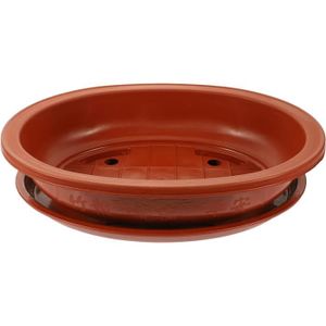 CACHE-POT Cache-pot ovale en plastique pour bonsaï avec plat
