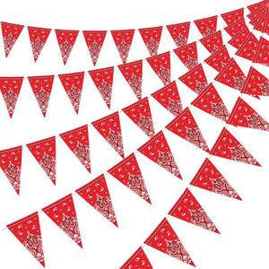 Amosfun /Ét/é Pinata Parti D/écoration Banni/ère Th/ème Mexicain F/ête danniversaire D/écoration Fournitures Chapeau De Cactus Banni/ère