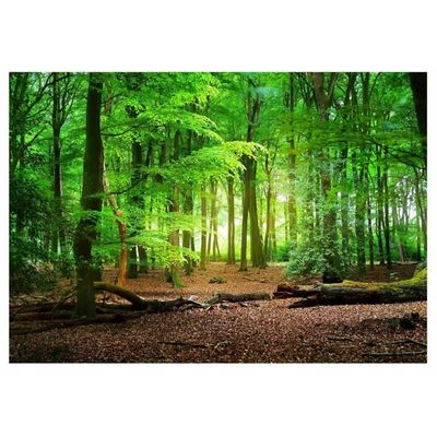 Arsey Tapisserie murale motif forêt ciel de forêt - Paysage naturel - Tapisserie murale esthétique - XXL - Décoration de salon - Vert - Extra large - 300 x 180 cm