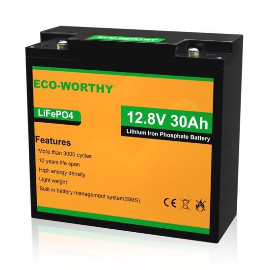 ECO-WORTHY 12V 30Ah 360Wh Lithium Fer Phosphate Batterie LiFePO4 Pour Power Wheel, Trolling Motor, Marine