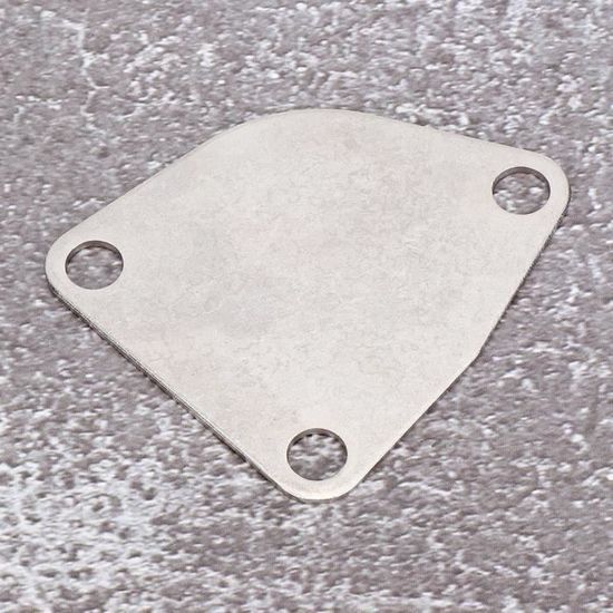 Plaque D'Obturation De Vanne Egr Plaque D'Obturation Egr En Acier