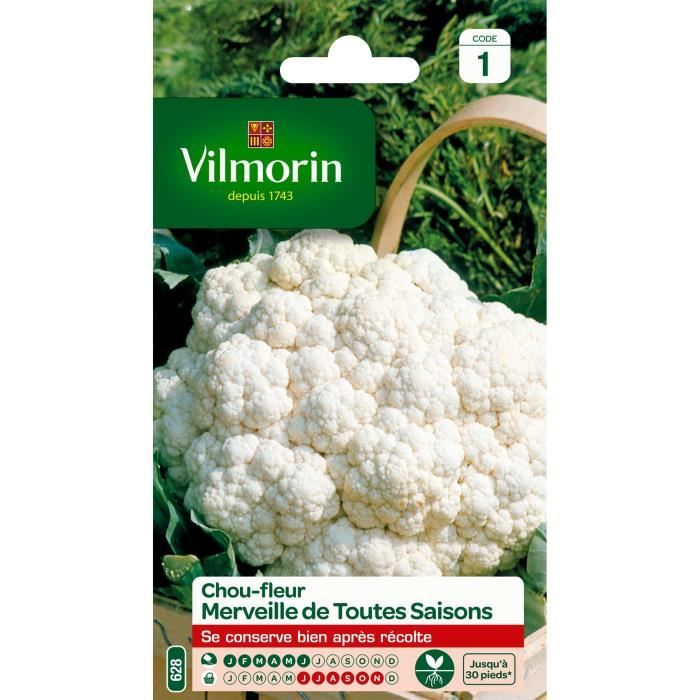 VILMORIN Chou-fleur Merveille de toutes saisons