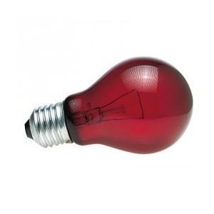 ZOOMED Lampe chauffante infrarouge nocturne - 40 W - Pour terrarium