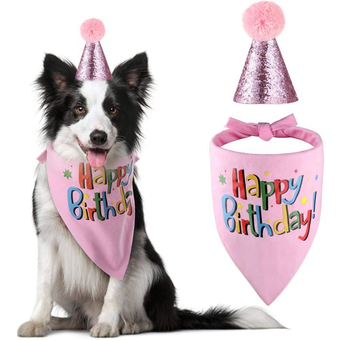 Bandana bonnet et écharpe pour anniversaire de chien - Fournitures de fête