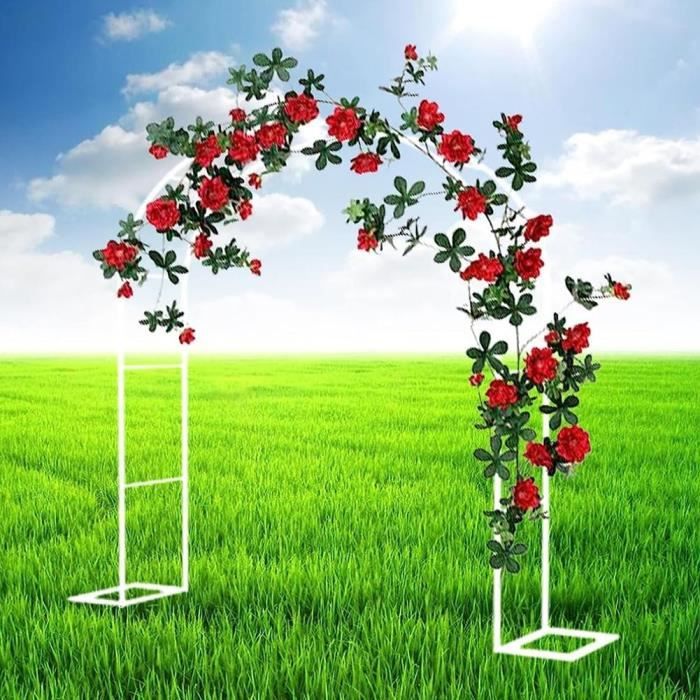 SEVSO Arche De Jardin En Métal Galvanisé – Arche Mariage, Rosiers & Plantes Grimpantes (Largeur 2,4 M X Hauteur 2,2 M)