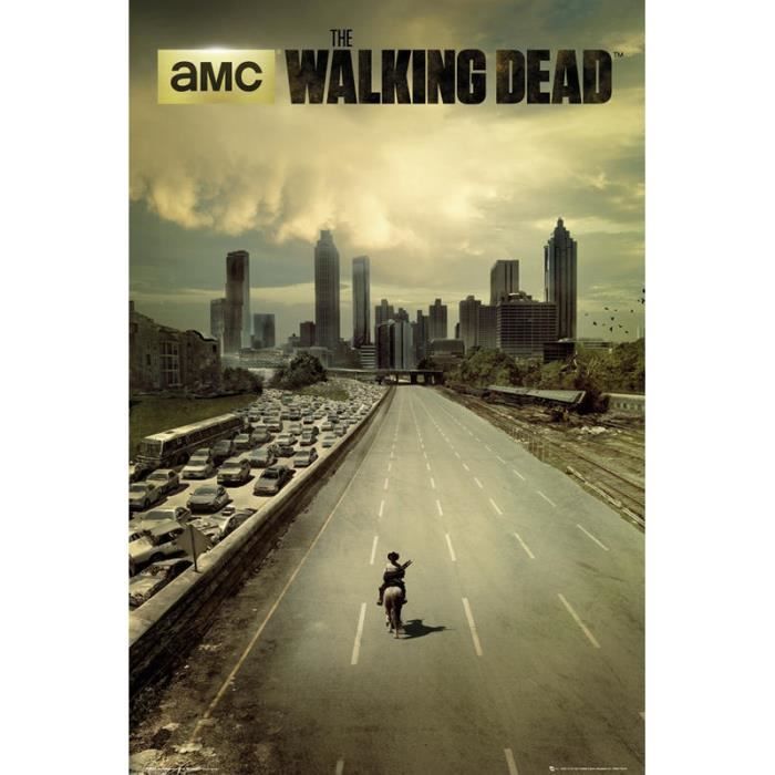 The Walking Dead: the apocalyptic awakening Poster-the-walking-deaddead-city-saison-1
