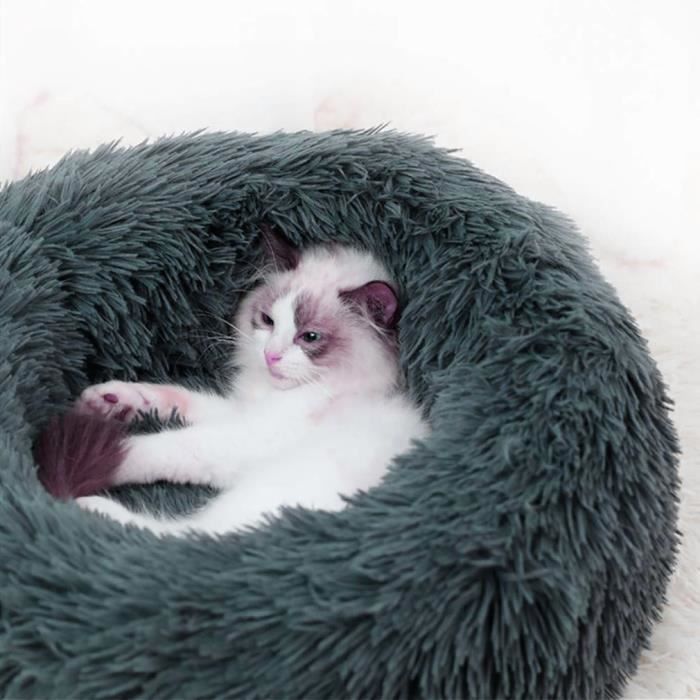 Panier Rond Chien Coussin Chat Panier Donut Panier Chien Lit Pour Chat Chien Extra Doux Confortable Et Mignon 70cm Gris Fonce Achat Vente Corbeille Coussin Panier Rond Chien Coussin Cdiscount Panier Rond Chien Coussin Chat Panier Donut Panier Chien Lit Pour Chat Chien Extra Doux Confortable Et Mignon 70cm Gris Fonce Achat Vente Corbeille Coussin Panier Rond Chien Coussin Cdiscount