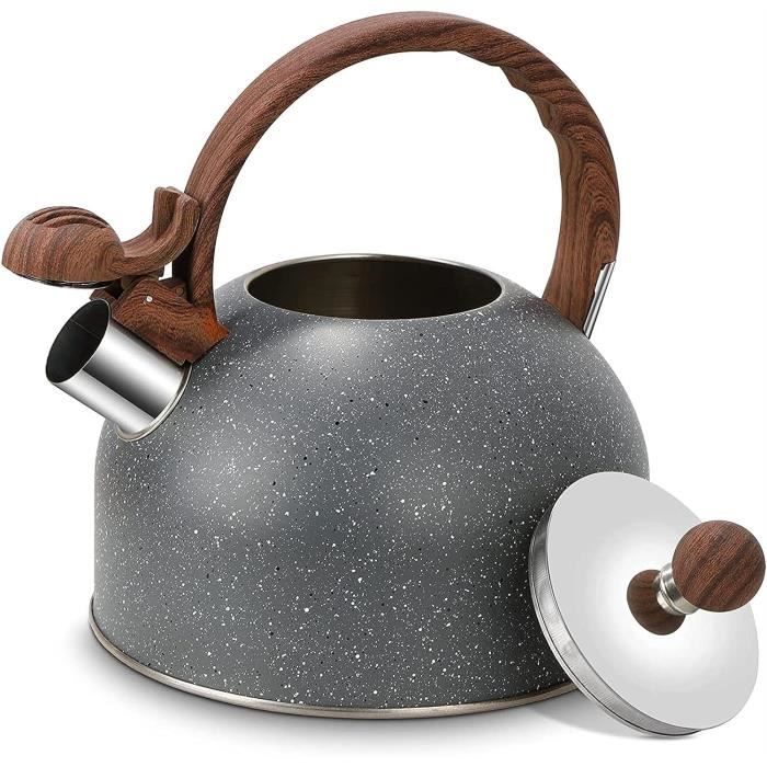 Bouilloire Camping 2,4 L – Acier émaillé, Anse Pliable, Couvercle Amovible, Pour Le Plein Air