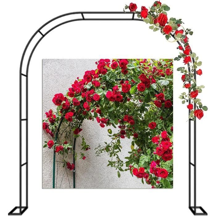 Arche De Jardin En Métal Acier Inoxydable 240x240cm - Support Rosiers Et Plantes Grimpantes