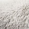 Tapis de Salon ou Chambre Shaggy - Neo Yoga- Tapis Lavable à Base Fine en Microfibre Poils Longs Extra Doux Blanc 160 x 230 cm-2