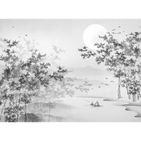 Papier Peint Panoramique Art Zen Noir Et Blanc Forêt Lac Eau Lune Nature Paysage 300x210cm 3D Intissé Soie Poster Geant Mural