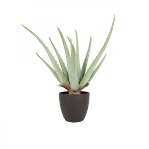 FLEUR ARTIFICIELLE Aloe vera artificiel 35cm