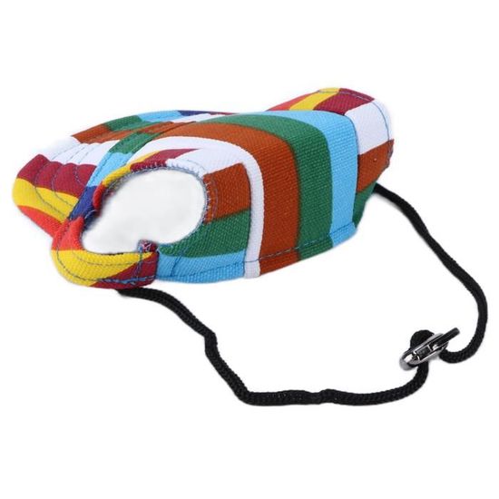 Casquette De Baseball Pour Chien - Taille M, Avec Trous Pour Oreilles Et Mentonnière Réglable - Protection Solaire Été - Vert