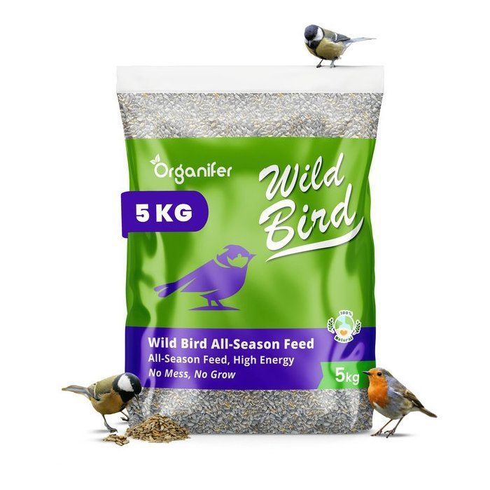 Meilleurs prix pour GRAINES - Organifer - Aliment pour oiseaux de jardin - Haute Energie, Pas de Salissure, Pas de Germination - 5 Kg