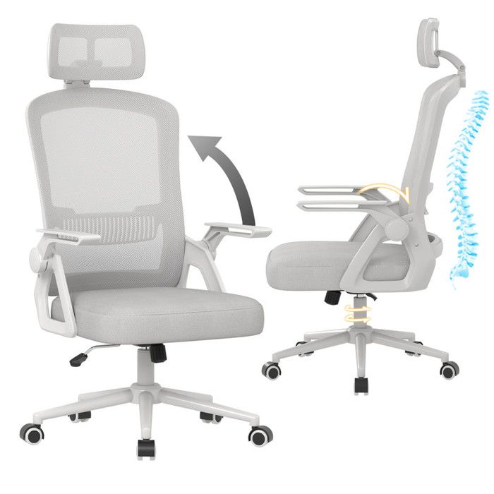 HAMLODY Chaise de bureau Ergonomique avec Accoudoirs Pliants Hauteur Réglable-Soutien Lombaire-Roulette Pivotant à 360° Gris