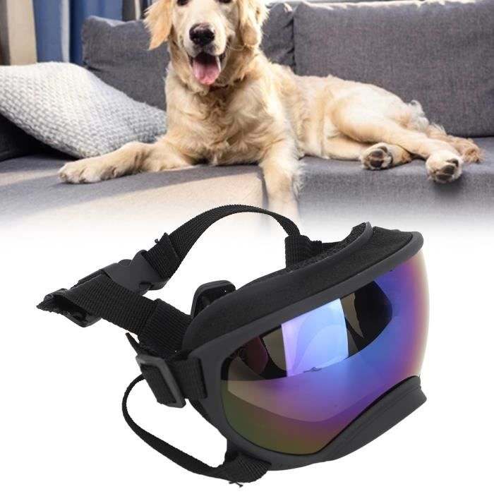 de soleil coupevent pour chien de soleil pour grand chien Protection UV coupe
