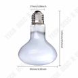 TD® Lampe Ampoule E27 100W Thermique Infrarouge UVA - Terrarium Vivarium Chaleur Blanc- Brillante et Lumineuse - tungstène halogène-1