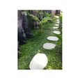 5 pas japonais en pierre galet de rivière - WANDA COLLECTION - Ovale - Gris - Allée de jardin-1