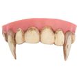 Dentier rigide vampire-0