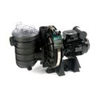 Pompe à sable - PENTAIR - La Sta-Rite 1 CV / 16 m³/h Mono - Filtre à sable - Noir