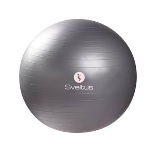 Swiss ball cdiscount Clearance