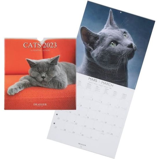 Calendrier Mural 2026 Avec Photos De Chats – Format A3, 14 Mois, Spirale Métal | Cadeau Pour Amoureux Des Félins