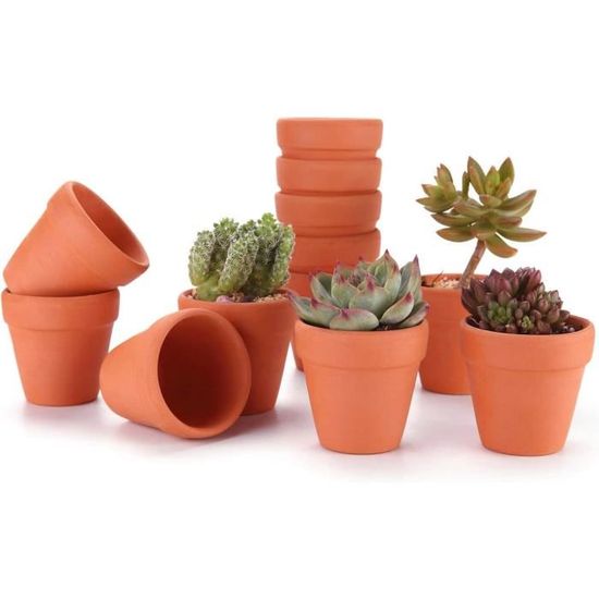 Molyorch 10 pièces 5 * 5.5cm Pot en Terre Cuite de Succulent Cactus, pour Cactus, Fleurs, Plantes Grasses, Parfaits pour LeJardinage, Le Bricolage ou des Cadeaux de Mariage (5.5 * 5cm