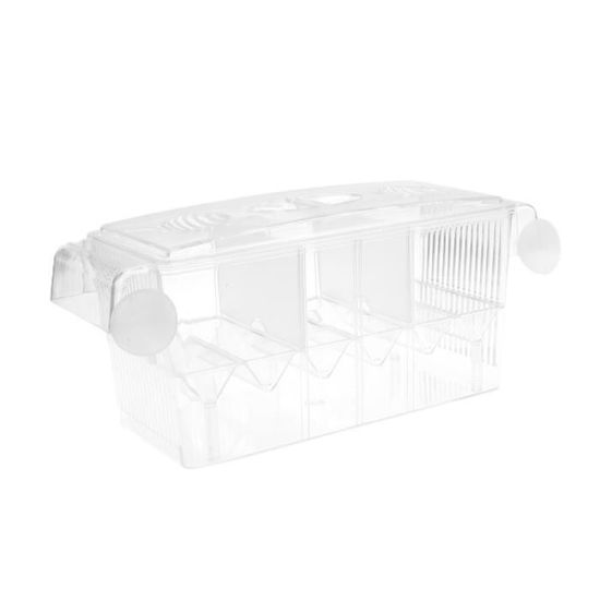 Terrarium D’élevage Pour Grillons – Boîte Transparente, Tiroir Amovible, Aération Maille 0,4 Mm