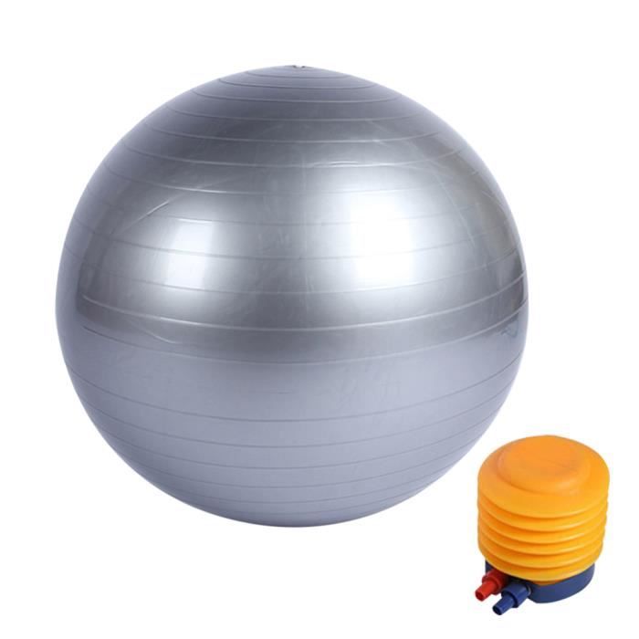 Boule de Yoga Ballon de Gym Ballon de Fitness avec un gonfleur 55 cm Gris