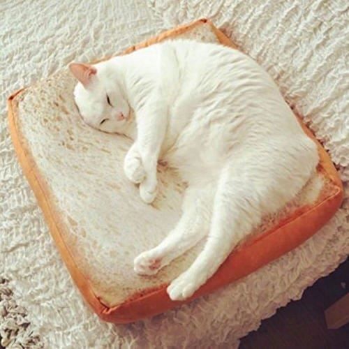 Matelas Animal Domestique, Toast Pain Doux Coussin de siège Pad Chats Chiens de Couchage Jouer allongé@M850