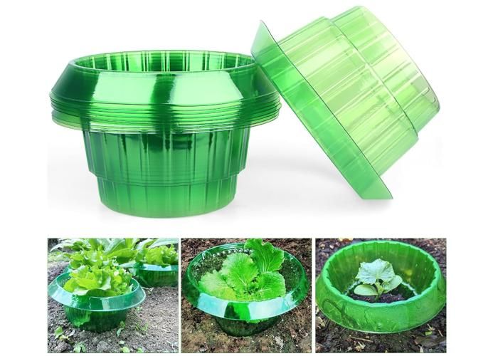 Mors De Filet Reinsman 171 - Anneau Moyen Lâche, Style 'escargot En Os Aigre' Pour Cheval