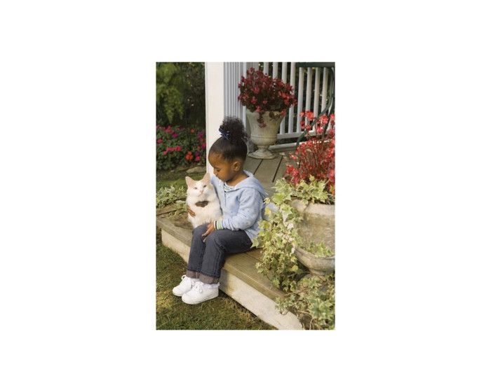 Meilleurs prix pour Occasion - Très bon état PetSafe Clôture Anti-Fugue Deluxe avec collier chat – Étanche, 4 niveaux, anti-étranglement