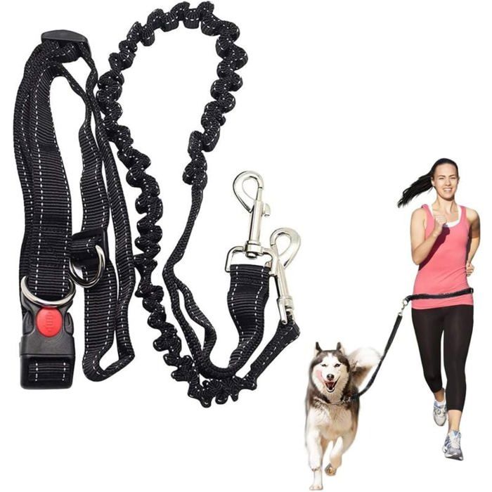 Meilleurs prix pour Laisse mains libres pour chien course à pied absorbant les chocs extensible - Ceinture réglable - Pour courir faire  Étiquette