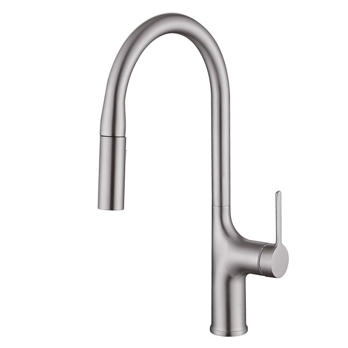 SUMERAIN Mitigeur de Cuisine avec Bec Pivotant à 360° Mitigeur à Arc Élevé Double Fonction Nickel Brossé