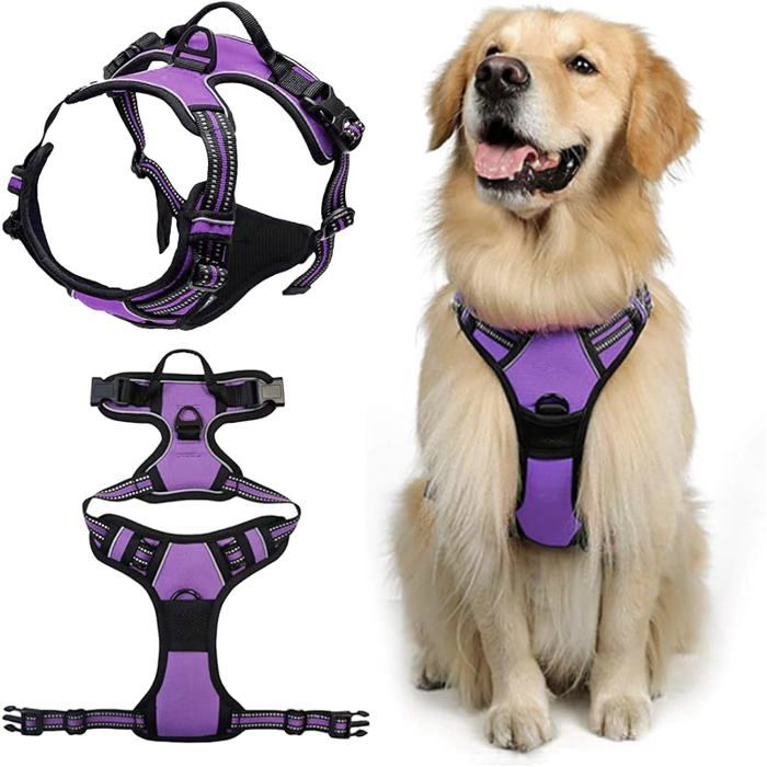 Meilleurs prix pour Harnais Chien No Pull Harnais Anti Traction pour Chien pour Moyen Chiens Facile Mettre Violet L Violet L# HARNAIS ANIMAL