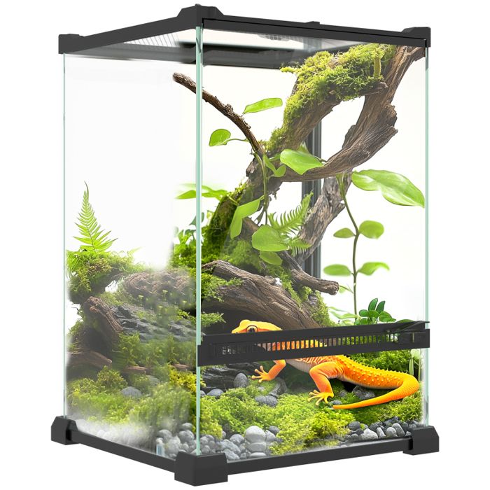 Terrarium en Verre Trempé 12L pour Lézards et Grenouilles - 20x20x30 cm - Système Anti-Évasion et Ventilation