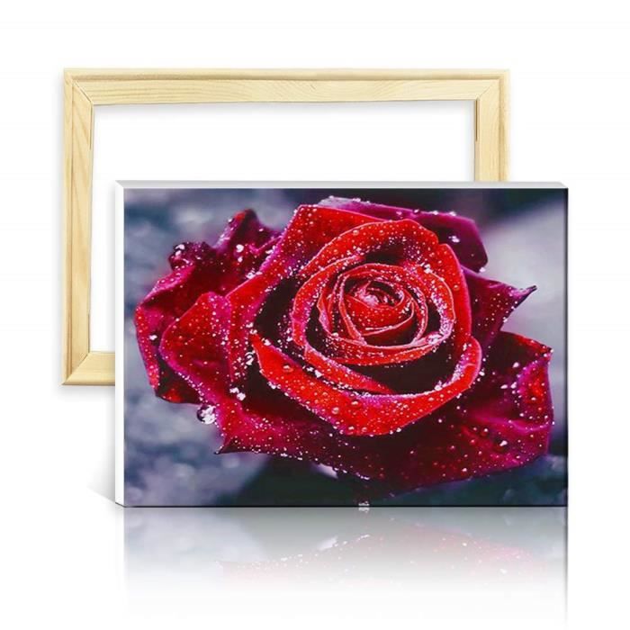 Ufengke Kit Broderie Diamants Plein Chat Noir Mosaique Peinture Diamant Resine Rond 5d Point De Croix Avec Cadre En Bois Dessin 25x35cm Kits De Broderie Au Point De Croix Ufengke Kit Broderie Diamants Plein Chat Noir Mosaique Peinture Diamant Resine Rond 5d Point De Croix Avec Cadre En Bois Dessin 25x35cm Kits De Broderie Au Point De Croix
