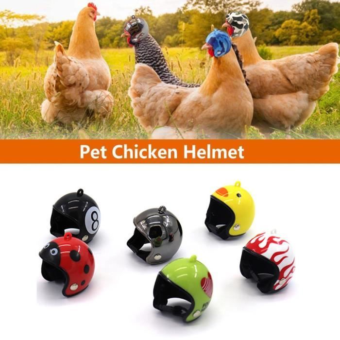Casque Animal Pour Animaux De Compagnie Drole De Protection Casque De Poule Poule Hard Hat Bird Hat Hood 4 4 5cm 2pcs Cdiscount Casque Animal Pour Animaux De Compagnie Drole De Protection Casque De Poule Poule Hard Hat Bird Hat Hood 4 4 5cm 2pcs Cdiscount