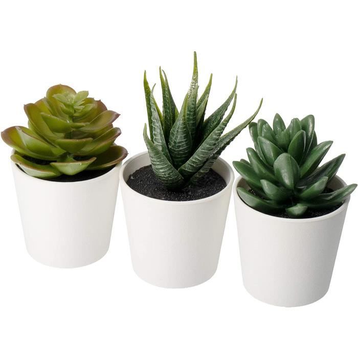IKEA 203.953.31 FEJKA Lot de 3 Mini Plantes Grasses artificielles en Pot  (6cm) 406 - Cdiscount Maison