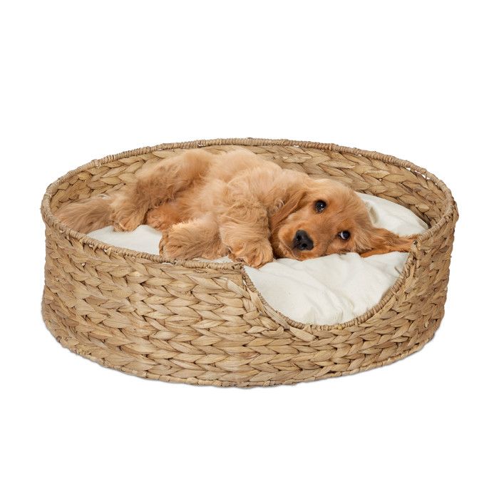 Comparer les prix de Relaxdays Couchage pour chien et chat, rond, HxD : 15x49 cm, petite corbeille pour votre animal, zostère, nature - crème