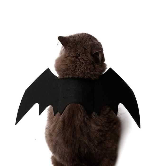 Chien De Compagnie Chat Aile De Chauve Souris Cosplay Prop Halloween Chauve Souris Deguisement Costume Outfit Ailes Cdiscount Animalerie Chien De Compagnie Chat Aile De Chauve Souris Cosplay Prop Halloween Chauve Souris Deguisement Costume Outfit Ailes Cdiscount Animalerie